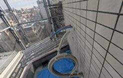 2月23日撮影